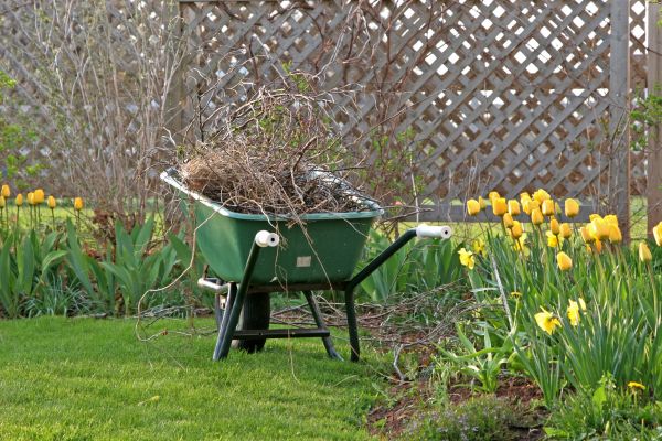 Flower Bed Cleanup Service in Marco Island