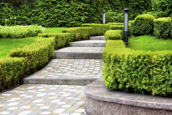 Backyard Remodeling in Marco Island