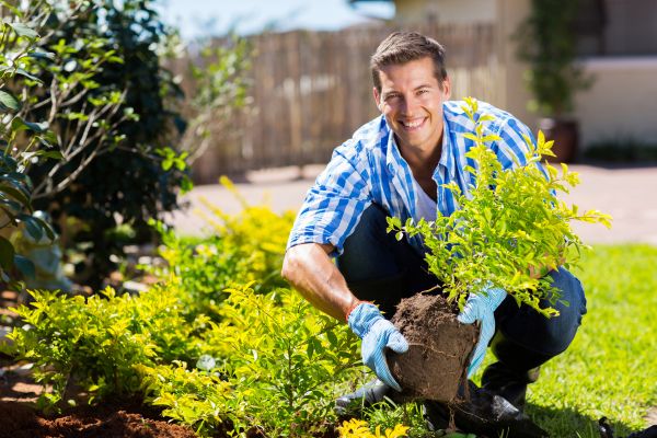 Bush Planting Service in Marco Island