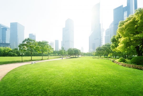 Commercial Landscape Maintenance in Marco Island