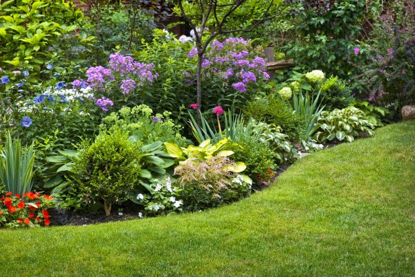 Flower Bed Service in Marco Island