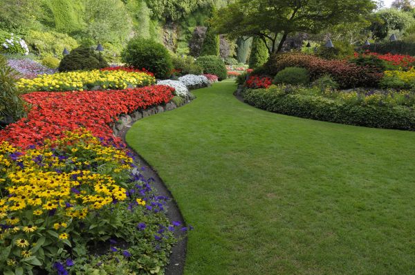 Landscaping Maintenance in Marco Island
