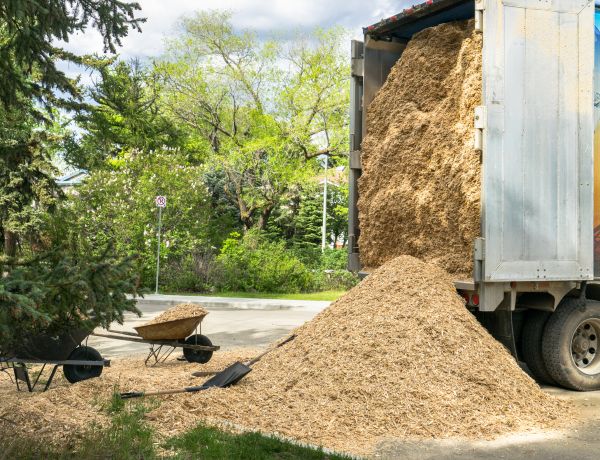 Wood Chips Delivery in Marco Island