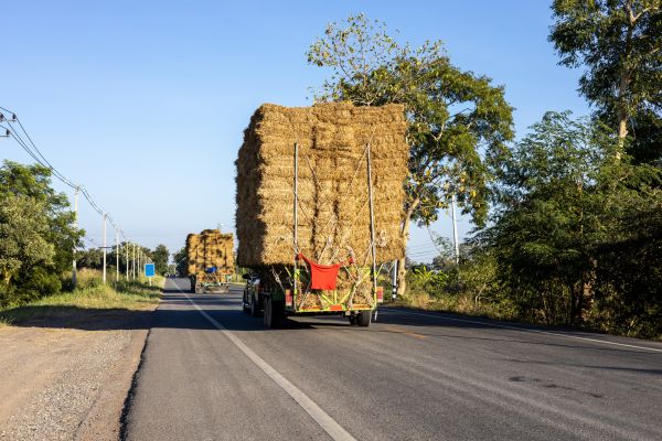 Pine Straw Delivery in Marco Island