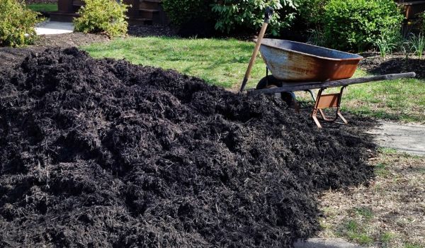 Black Mulch Delivery in Marco Island