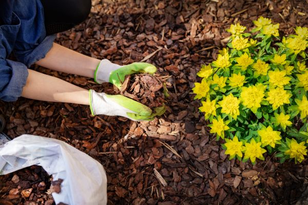 Garden Mulching in Marco Island