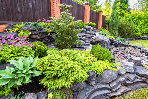 Landscape Remodeling in Marco Island