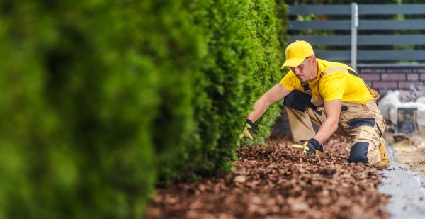 Cypress Mulch Installation in Marco Island