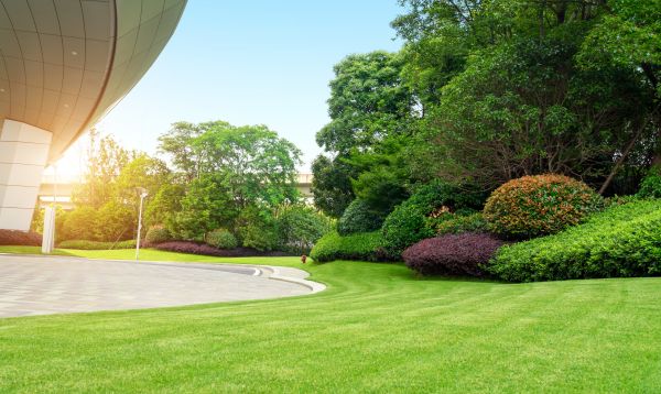 Business Landscape Design in Marco Island