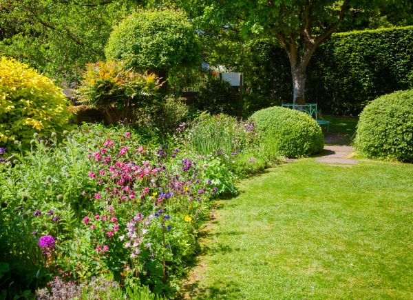 Yard Landscaping Service in Marco Island