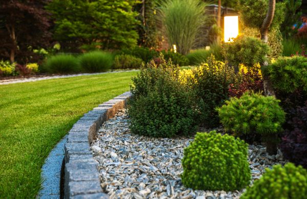 Landscaping Service in Marco Island