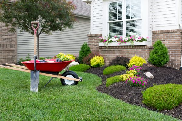 Tree And Shrub Planting in Marco Island
