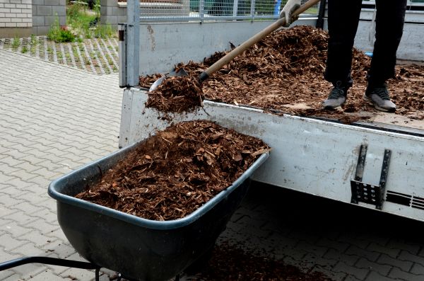 Landscape Mulch Delivery in Marco Island