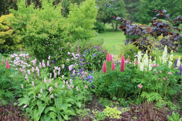 Flower Bed Planting in Marco Island