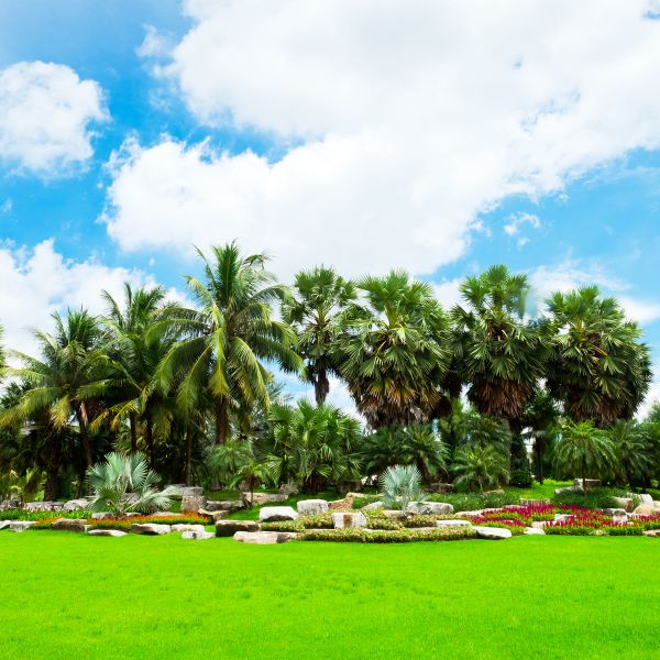 Tropical Landscaping in Marco Island
