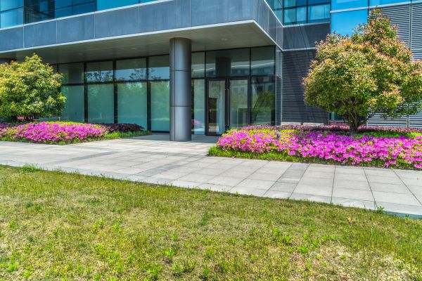 Commercial Gardening in Marco Island