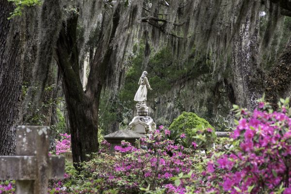 Cemetery Landscaping in Marco Island