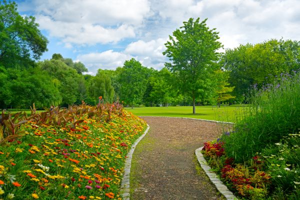 Park Landscaping in Marco Island