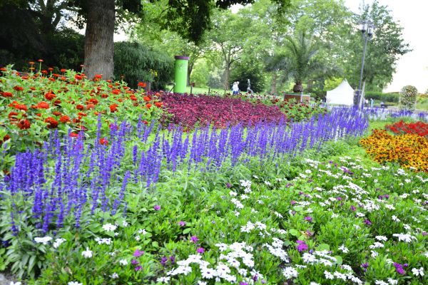 Perennials Planting in Marco Island
