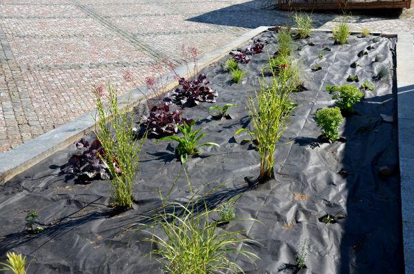 Landscape Fabric Installation in Marco Island