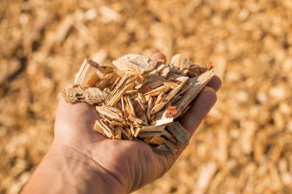 Wood Chips Spreading in Marco Island