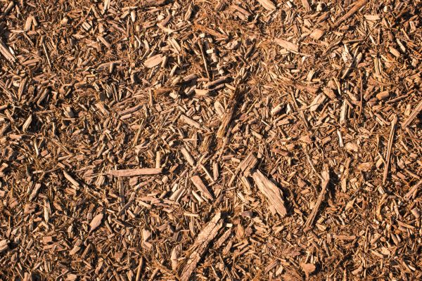 Wood Chips Removal in Marco Island