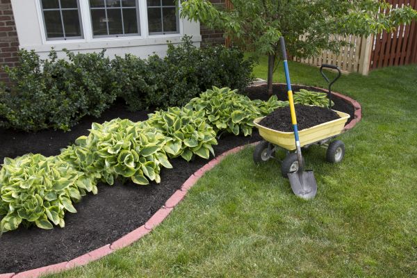 Landscape Mulching in Marco Island