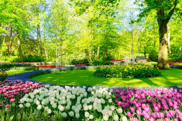 Flower Landscaping in Marco Island