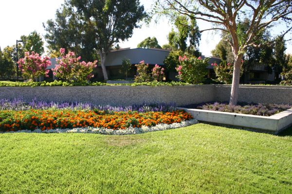 Commercial Landscape Service in Marco Island