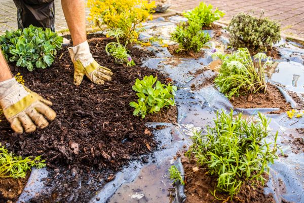 Mulch Fabric Installation in Marco Island