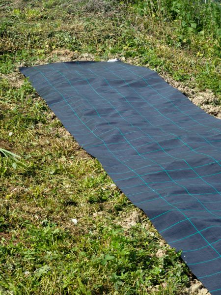 Weed Suppressant Installation in Marco Island