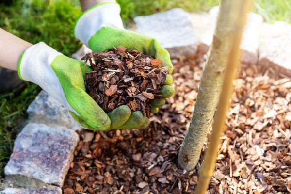 Tree Bark Delivery in Marco Island
