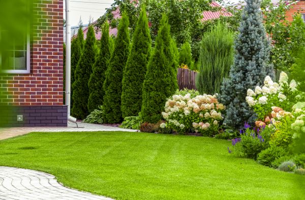 Spring Landscaping in Marco Island