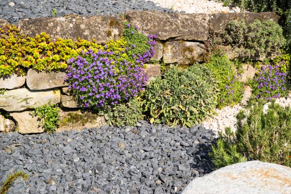 Landscaping Rocks Installation in Marco Island