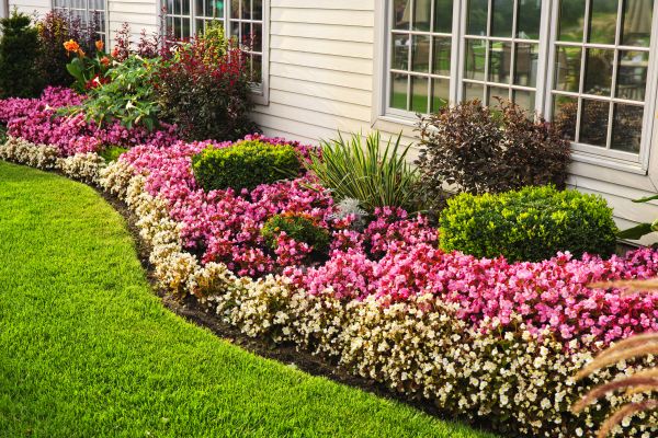 Garden Landscape Design in Marco Island