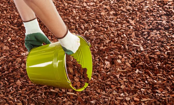 Wood Chip Landscaping in Marco Island