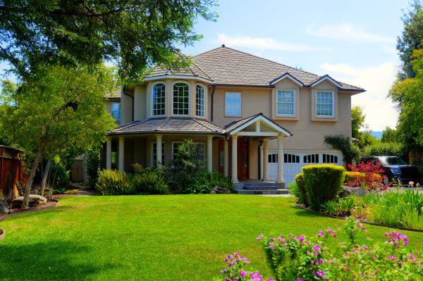 Large Yard Landscaping in Marco Island