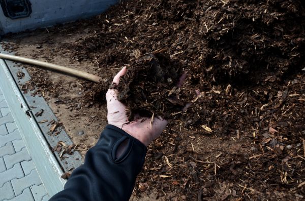 Condo Mulching in Marco Island