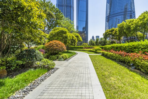 Commercial Landscaping in Marco Island