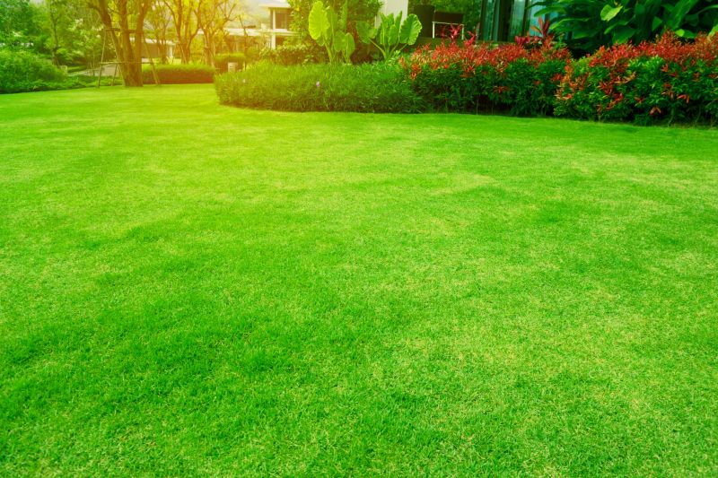 Lawn and Turf Projects