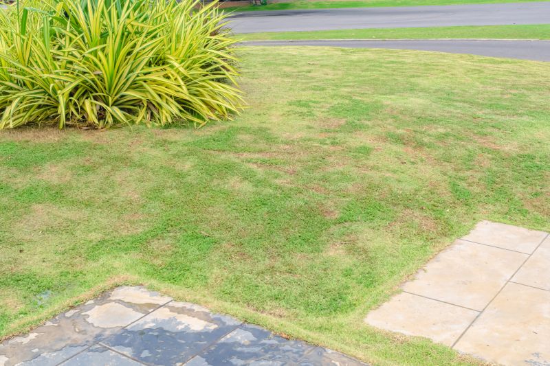 Lawn Rut Repair