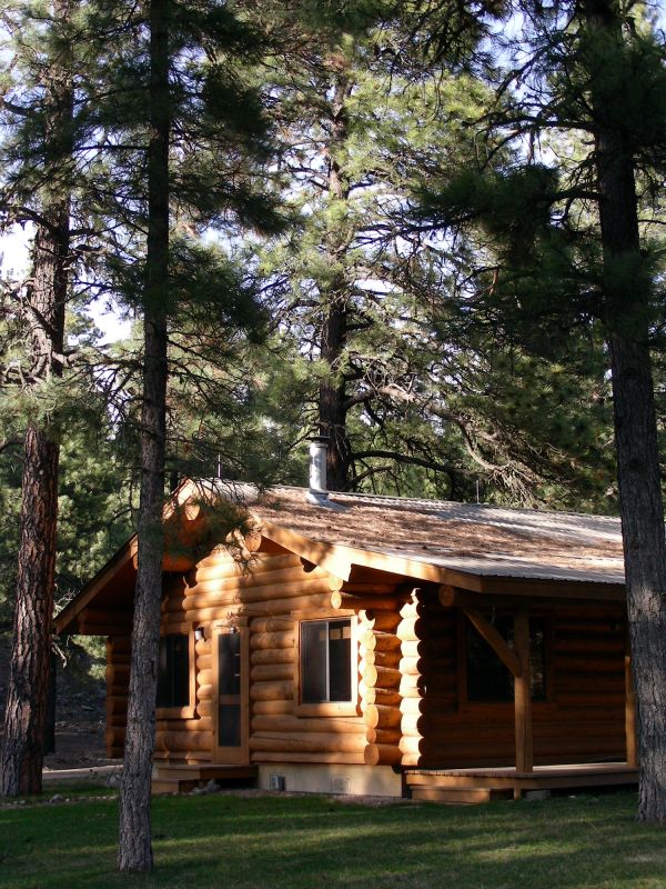 Log Home Landscaping